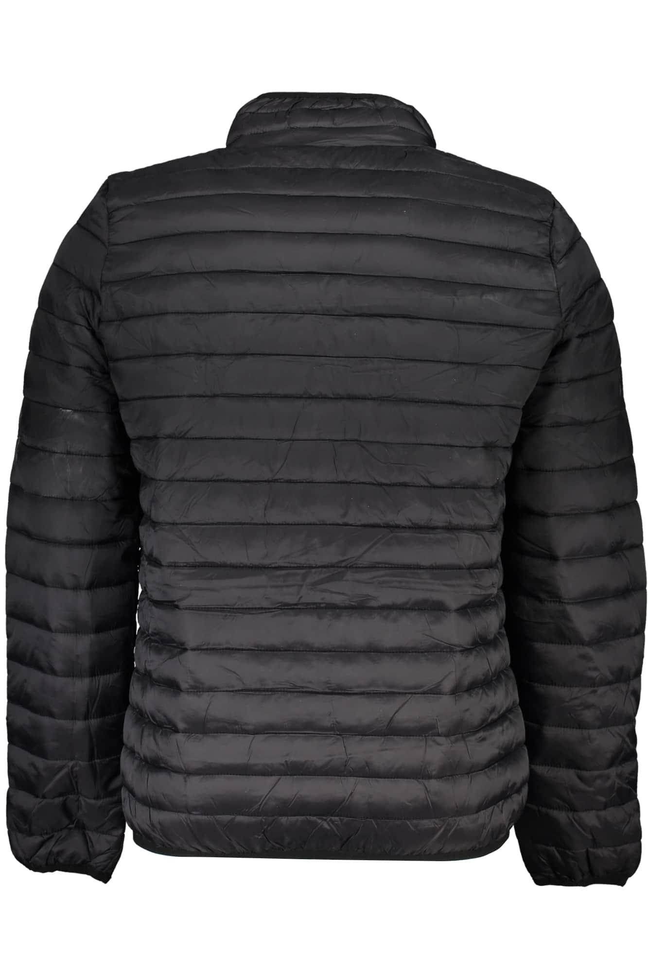 Gian Marco Venturi negro hombre chaqueta