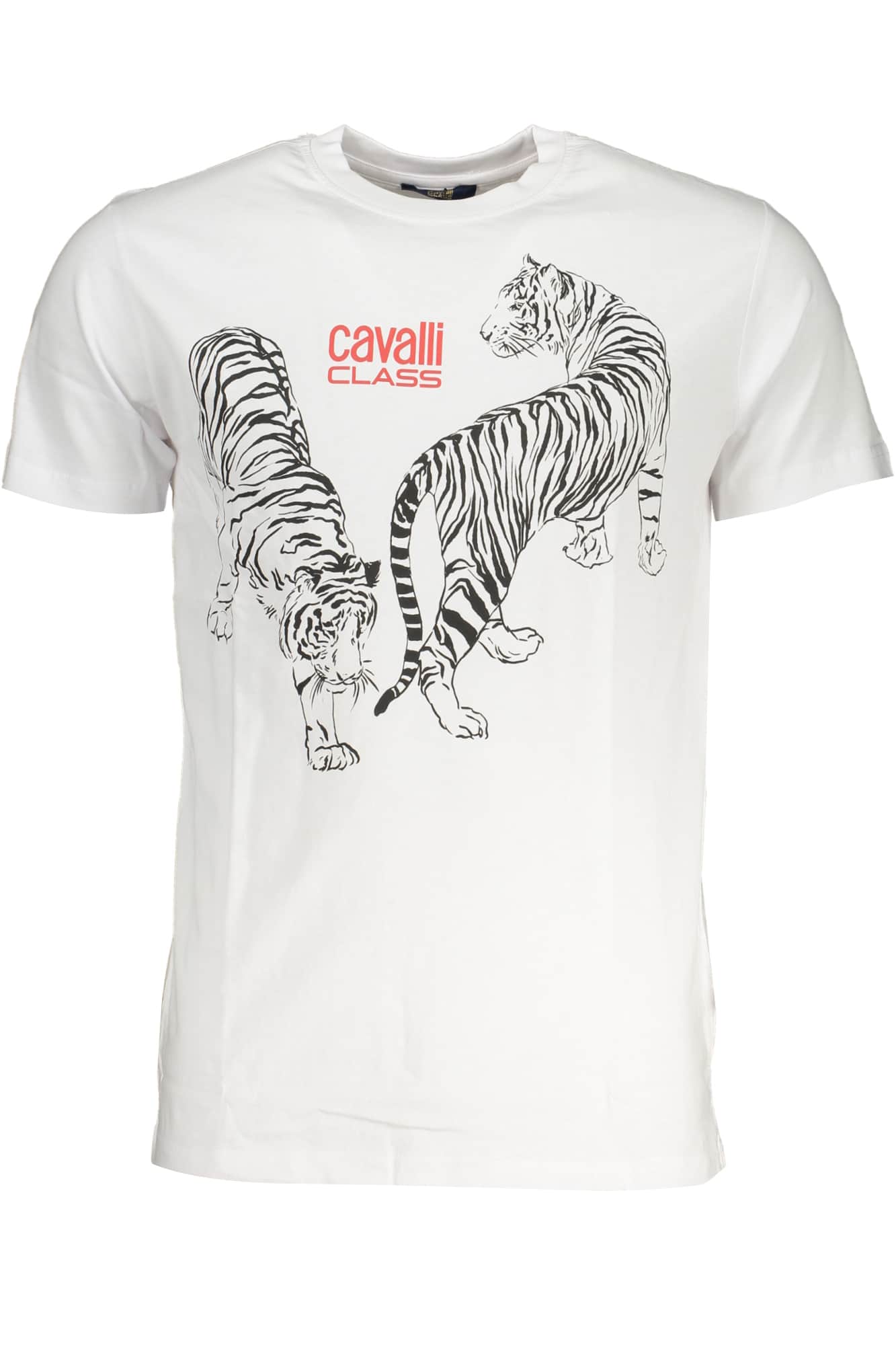 Cavalli Class verde hombre manga corta t-camisa