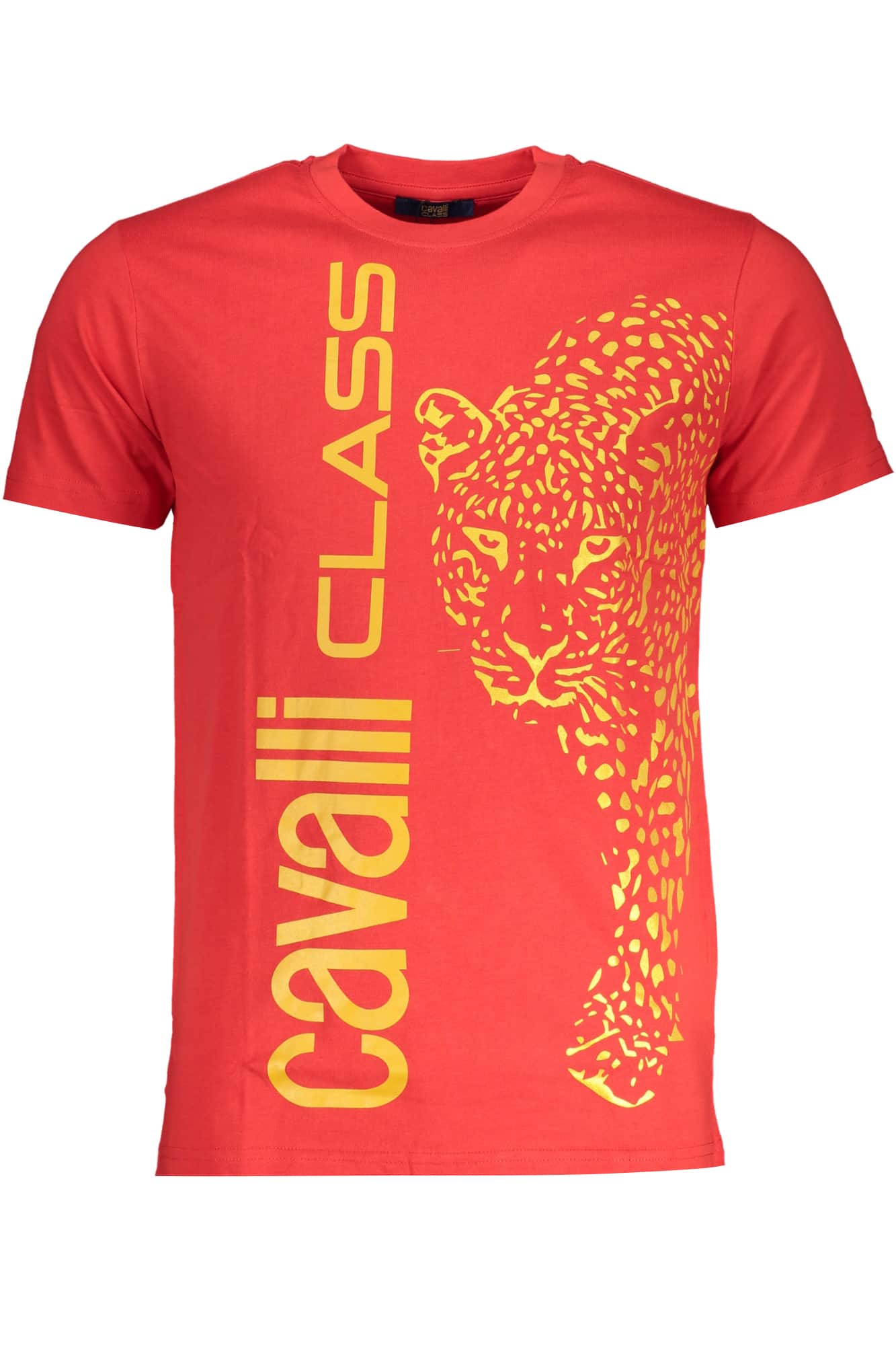 Cavalli Class verde hombre manga corta t-camisa