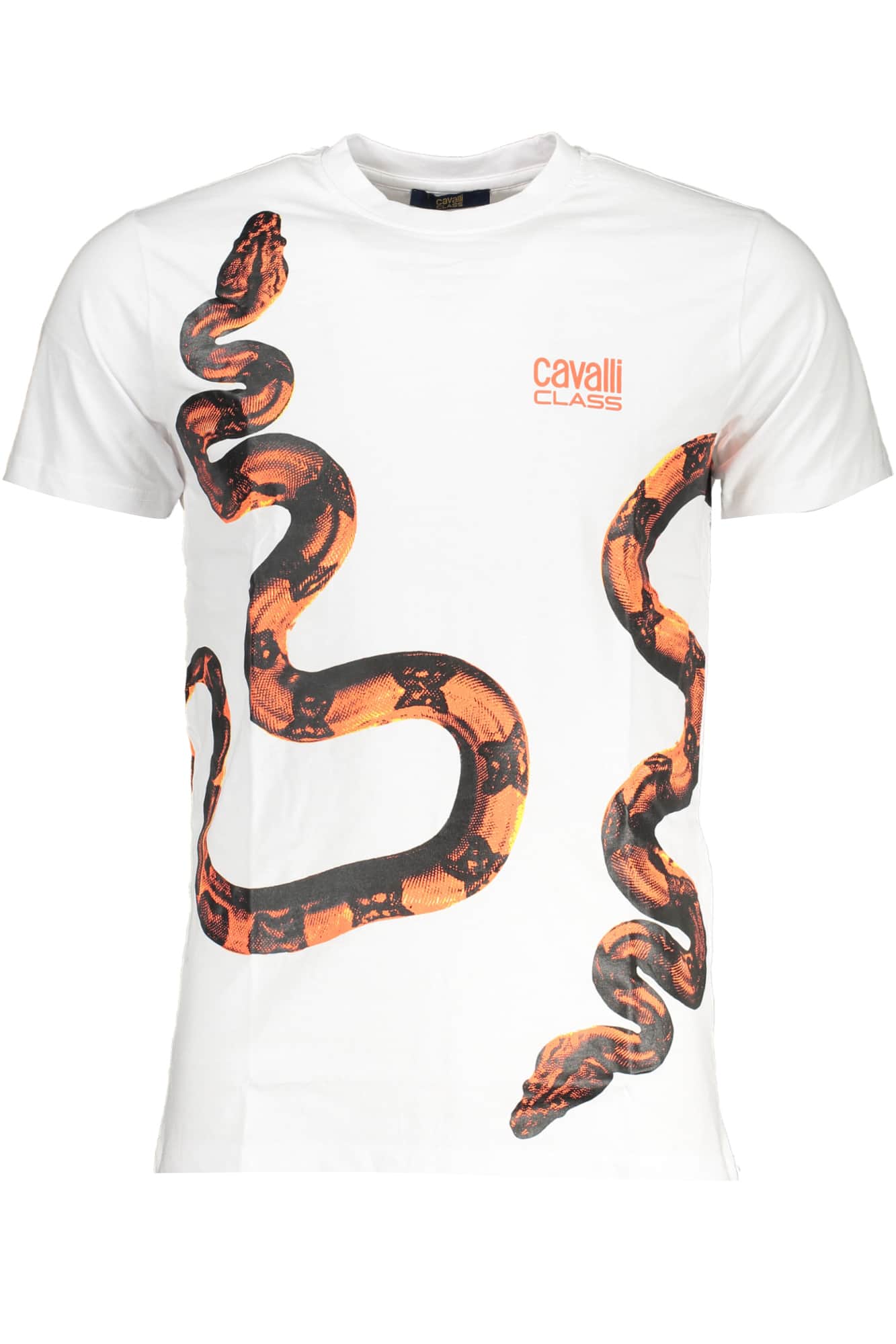 Cavalli Class verde hombre manga corta t-camisa
