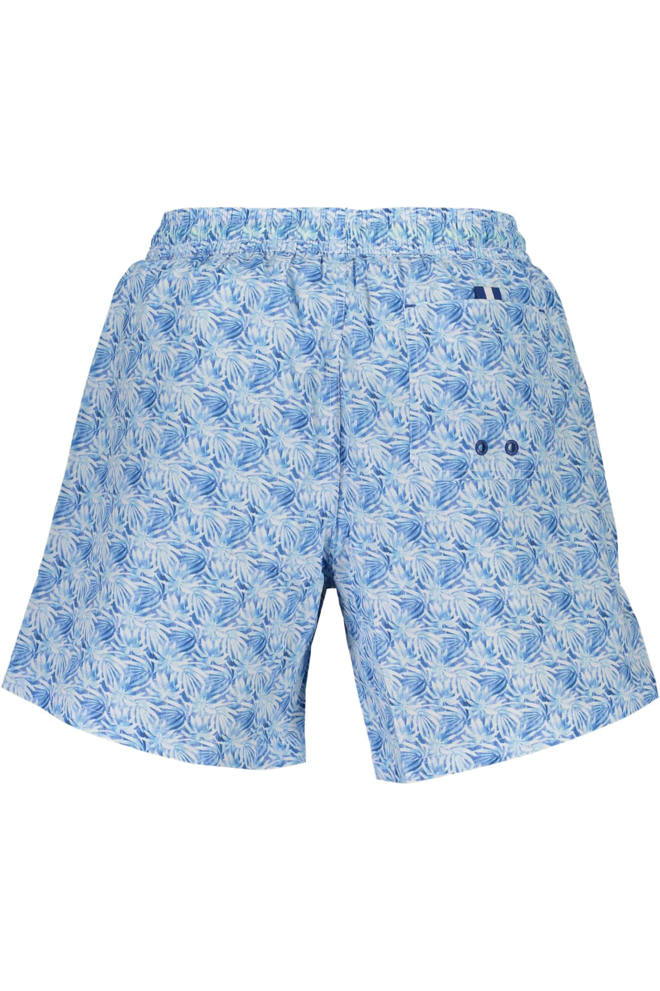 North Sails azul hombre braguita de bikini