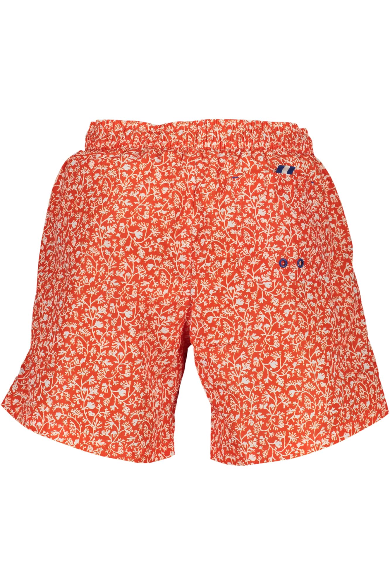 North Sails azul hombre braguita de bikini