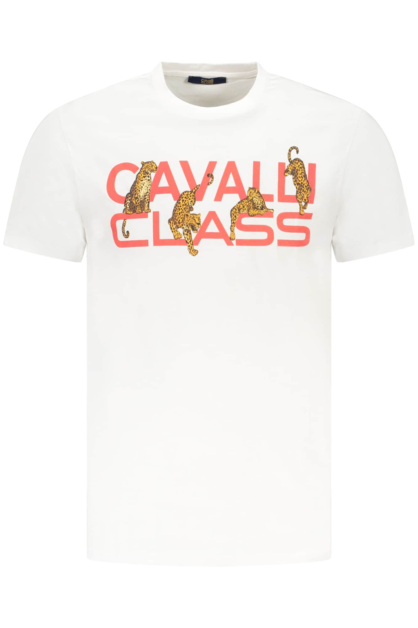 Cavalli Class manga corta t-camisa hombre rojo