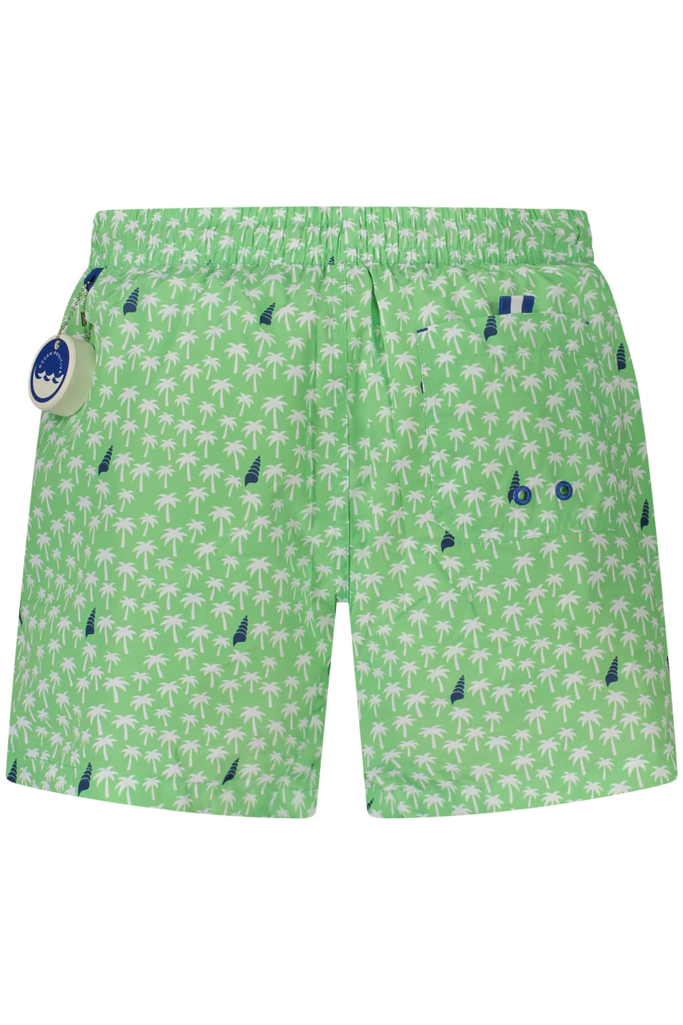North Sails braguita de bikini hombre verde