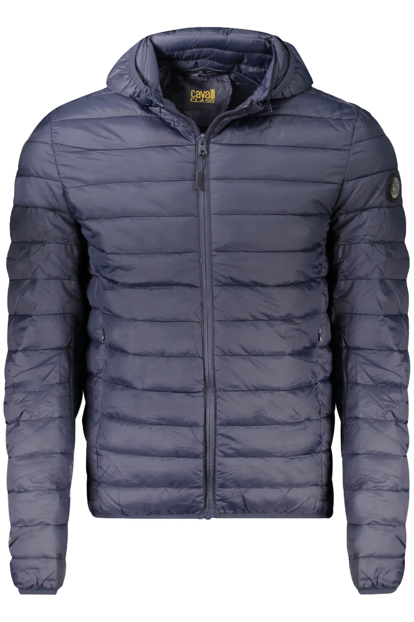 Cavalli Class hombre verde chaqueta