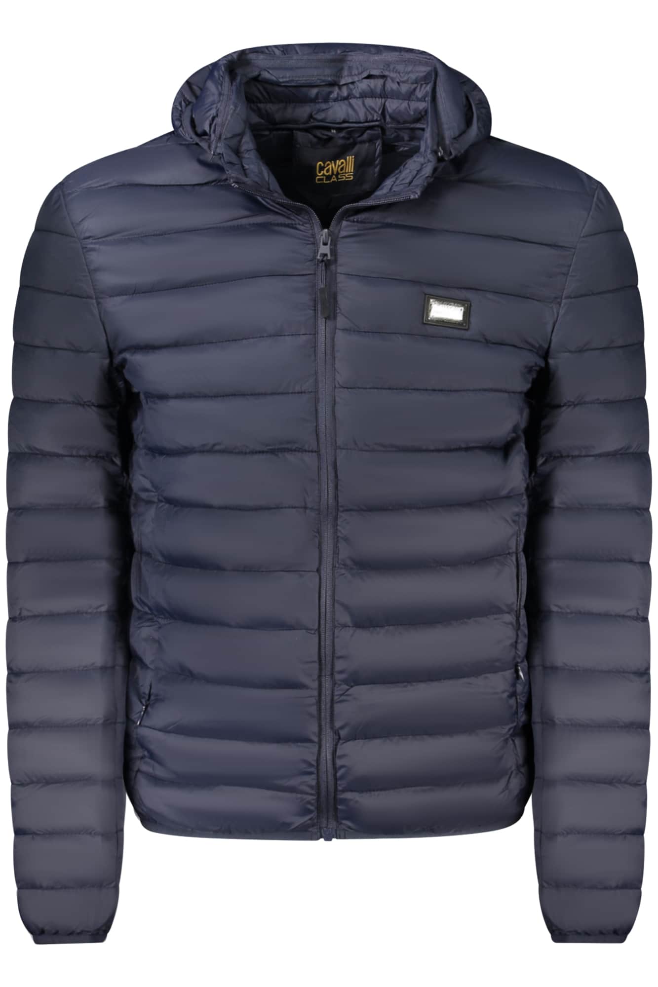 Cavalli Class hombre verde chaqueta