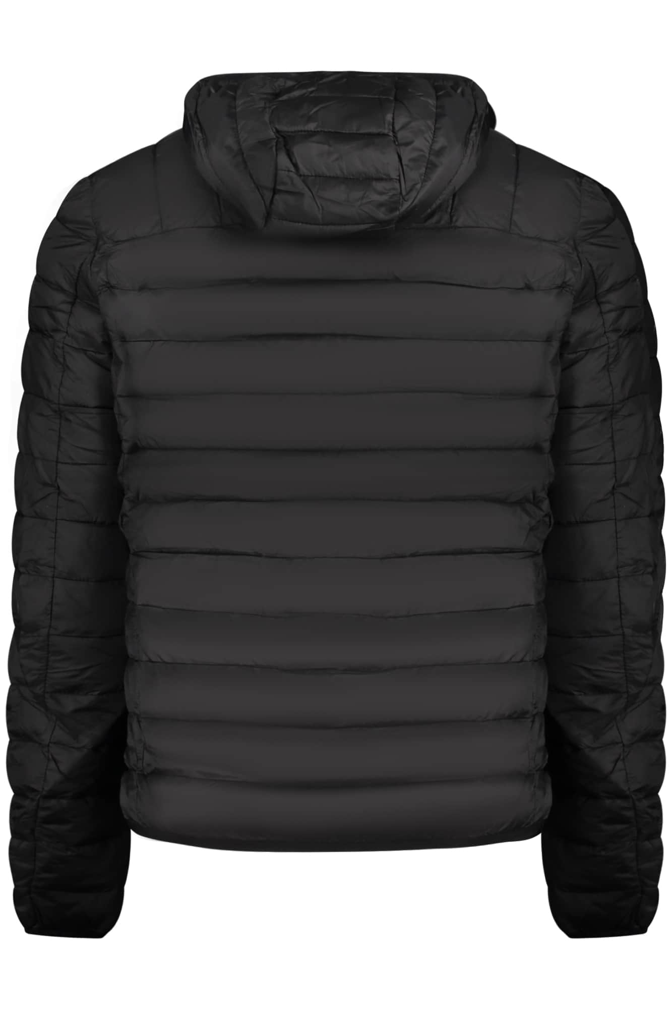 Cavalli Class hombre verde chaqueta
