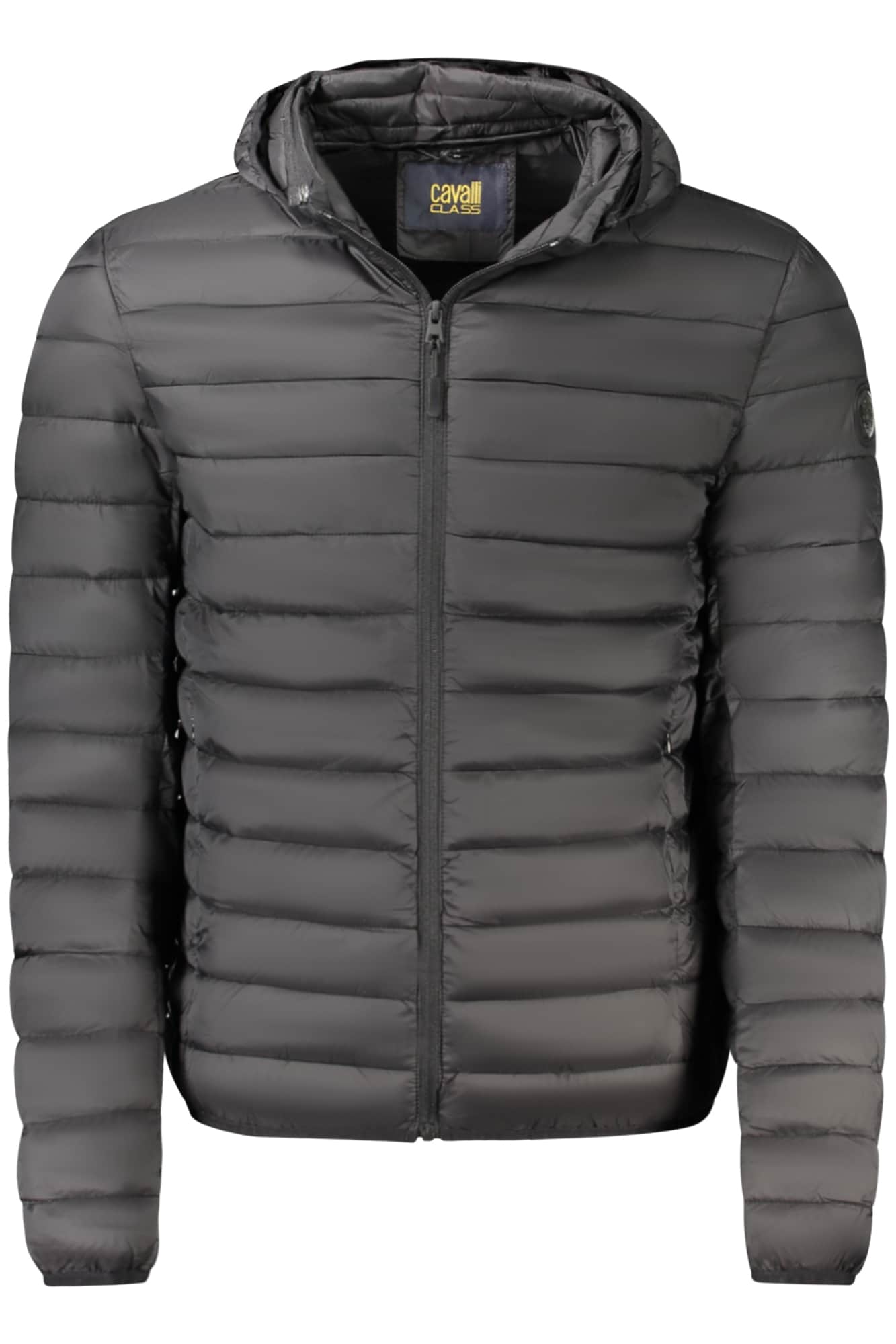 Cavalli Class hombre verde chaqueta