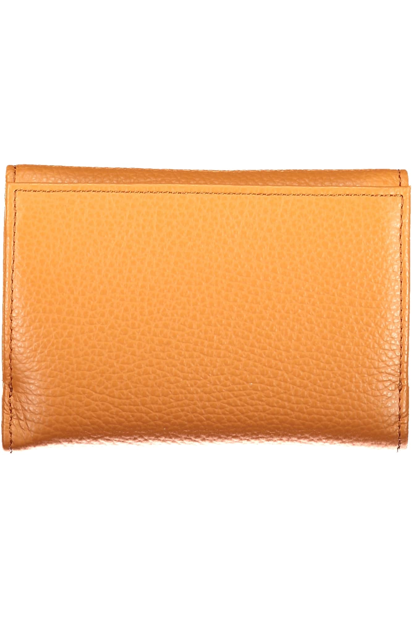 Coccinelle mujer verde cartera