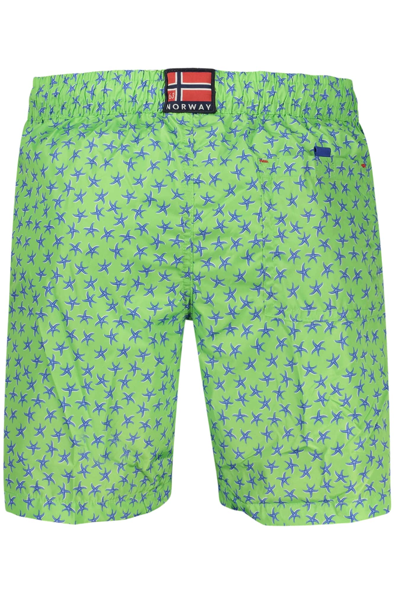 Norway 1963 braguita de bikini verde hombre