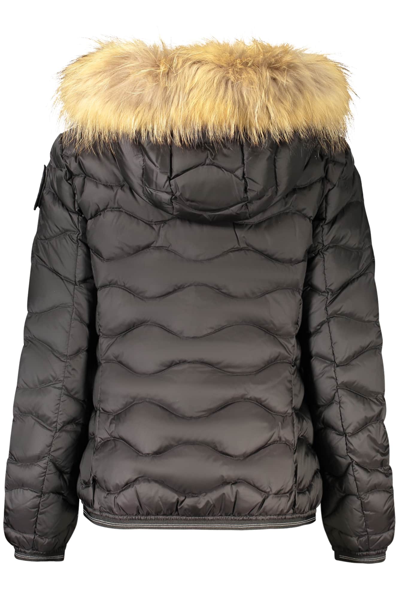 Blauer mujer negro chaqueta