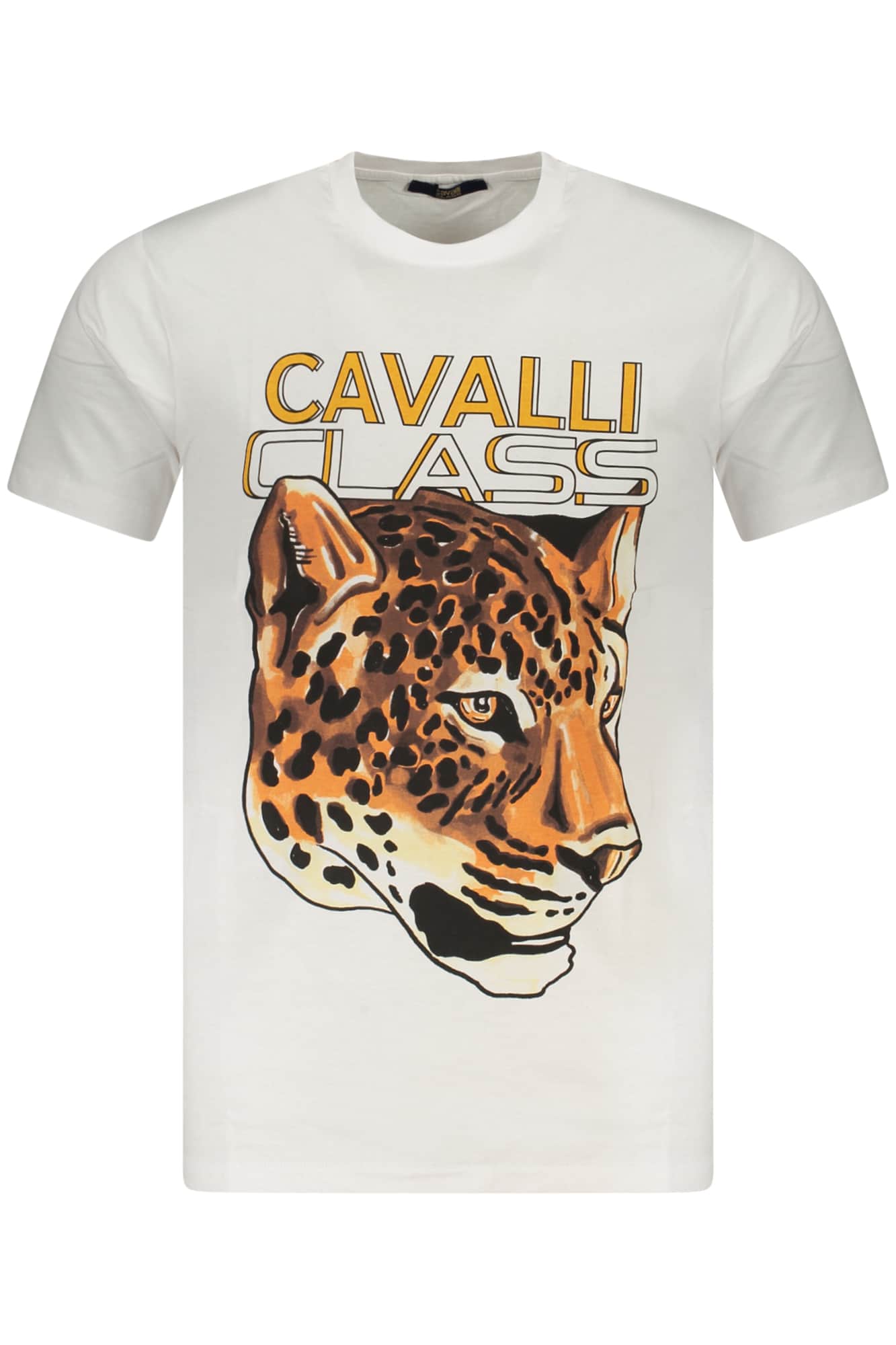 Cavalli Class hombre manga corta t-camisa verde