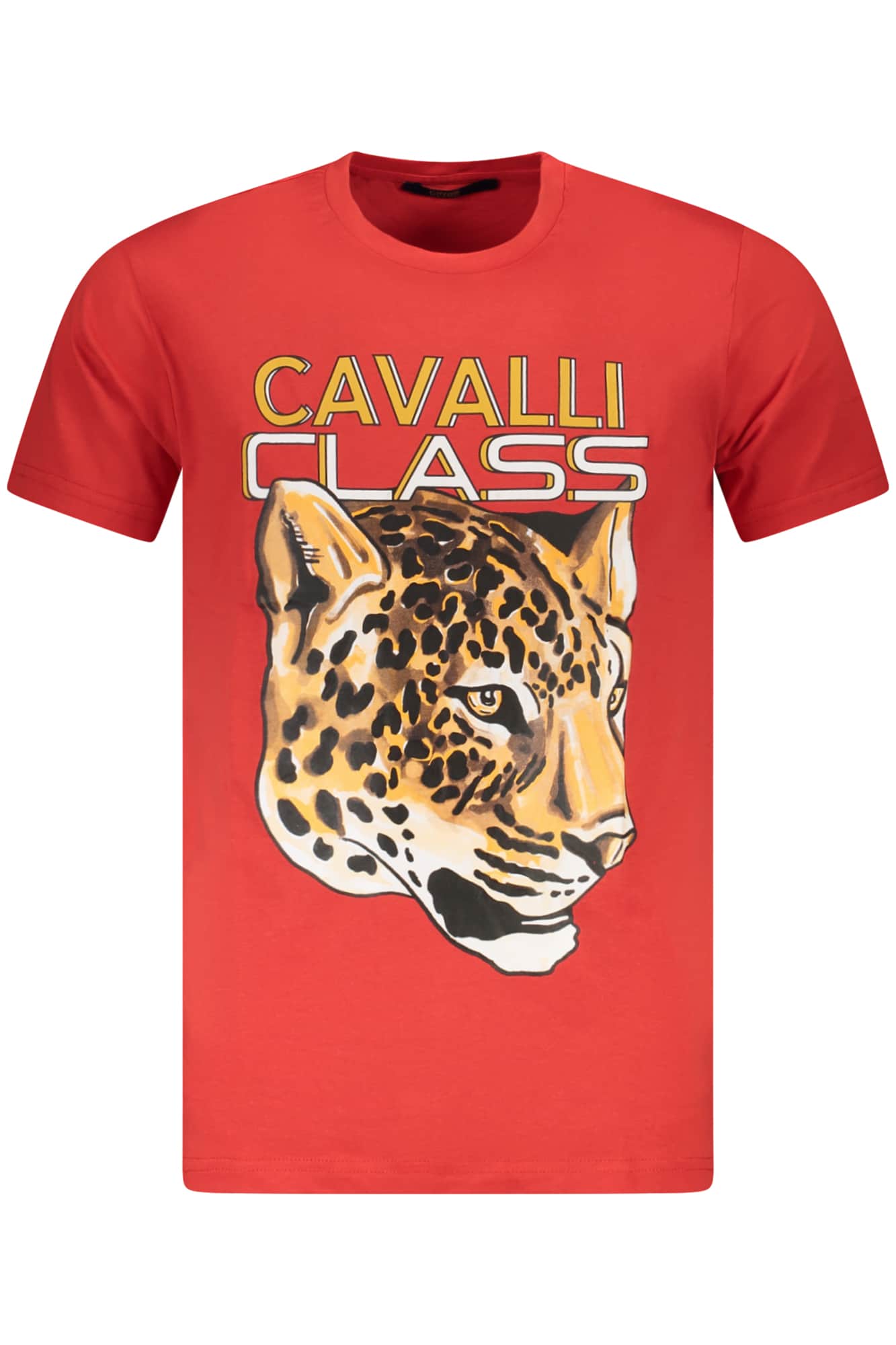 Cavalli Class hombre manga corta t-camisa verde