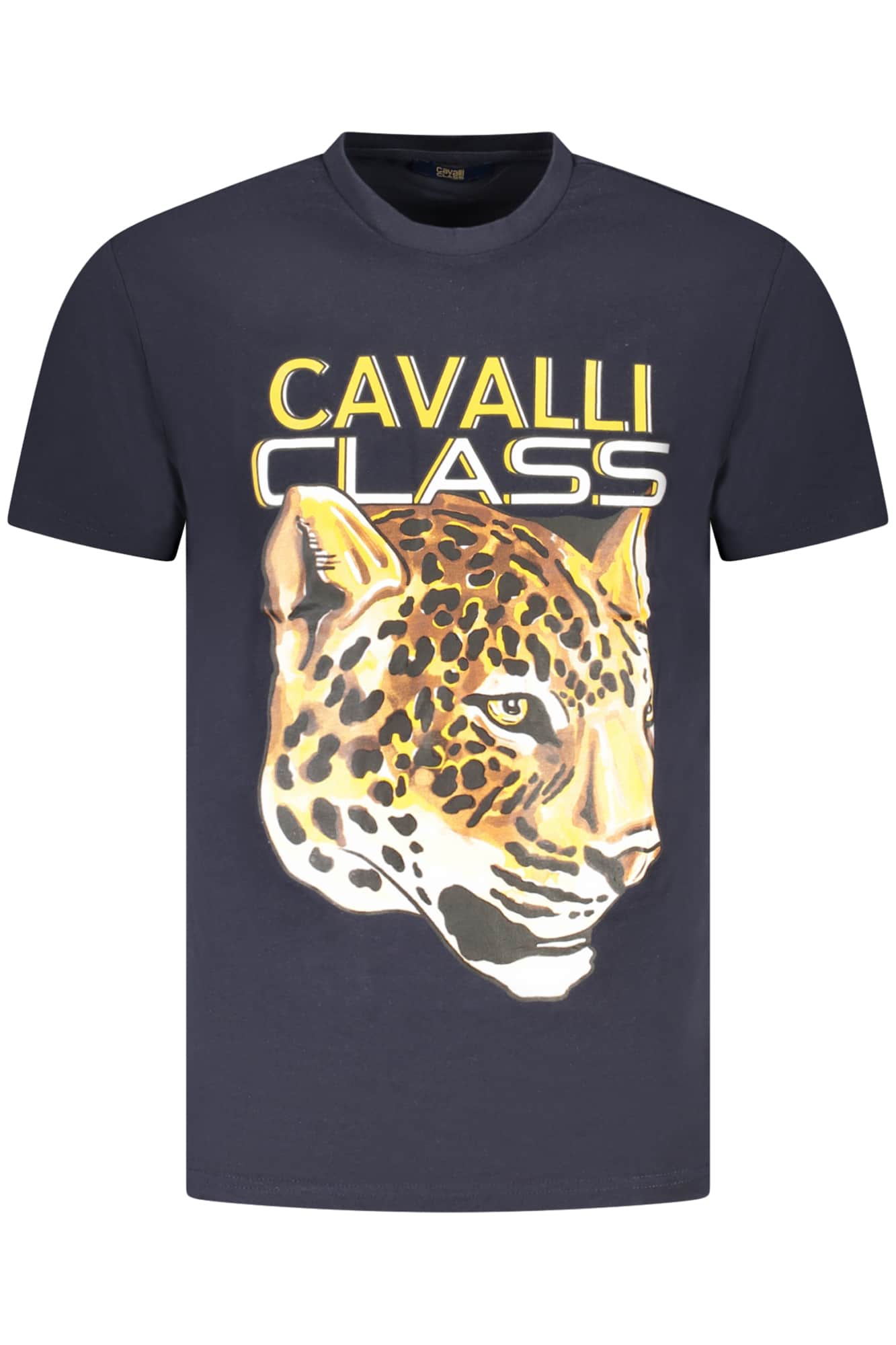 Cavalli Class hombre manga corta t-camisa verde